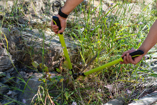 POV hands using garden shears cutting grass outdoors