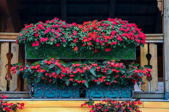 Red and pink impatiens and begonia flowers in decorative metal boxes. Vibrant red and pink flowers blooming in ornate metal planters on wooden chalet balcony creating cozy rustic exterior decor
