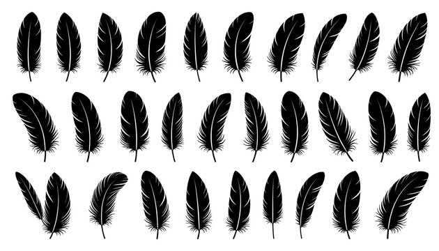 collection of various black feather silhouettes and icons, simple line art elements