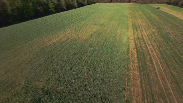 FPV Drone Aerial View of Agricultural Fields and Forest Near Nowy Lubi
