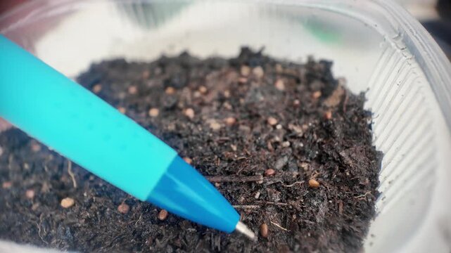 Extreme macro video of careful seed planting using pen tip for precision gardening. Human hand gently adjusts seed in soil container, slightly pressing it into earth before placing final seed in row
