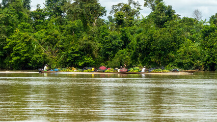 Long traditional wooden boat heavily loaded with fresh green plantains and local passengers navigating a wide tropical river along a lush jungle shoreline. © RRestrepo