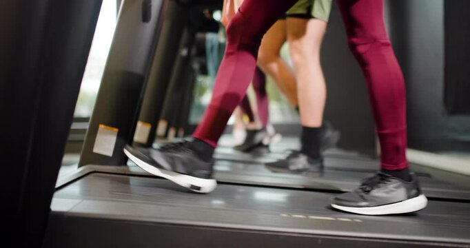Group of friends exercises together at fitness center with treadmill workout in morning
