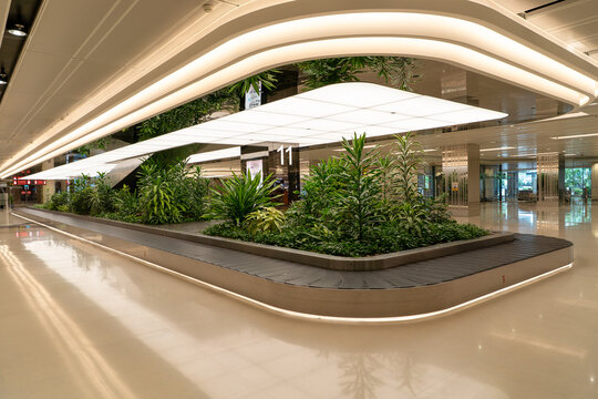 Baggage reclaim area with indoor greenery at Changi Airport T1