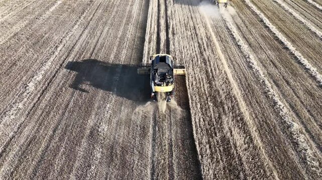 Cosechadora de trigo trabajando en un campo, vista a&eacute;rea