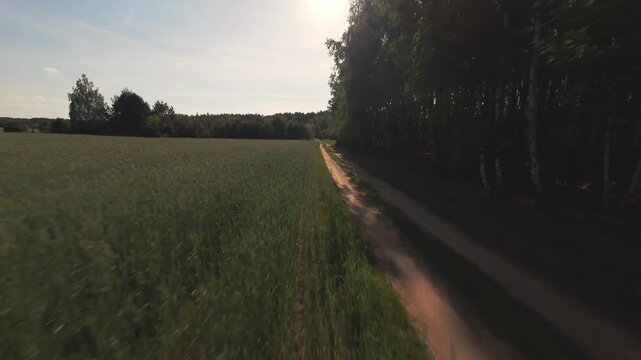 FPV Drone Flight Over Agricultural Fields and Forest Edge in Nowy Lubi