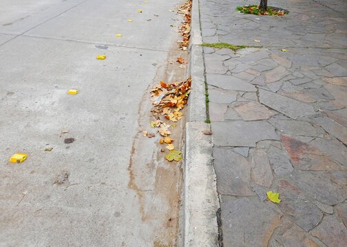 Hojas secas de oto&ntilde;o acumuladas en el cord&oacute;n de la calle urbana obstruyen las bocas de desag&uuml;e pluvial por falta de limpieza. La escena muestra suciedad y residuos naturales junto a la verda urbana.