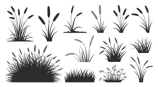 Wheat Grass Silhouettes: A collection of stylized silhouettes showcasing various wheat grass and reed plants. field growth, agricultural elements, natural patterns, botanical art.