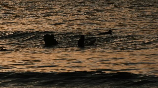friends surfing on the beach