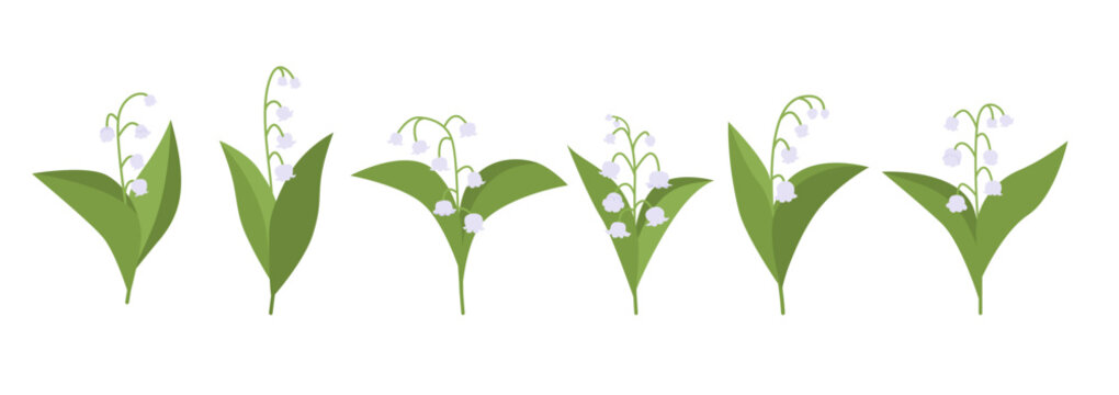 Set of stylized lily of the valley flowers isolated on white background.Fflat vector botanical collection with spring floral elements for pattern, fabric, wallpaper and greeting cards