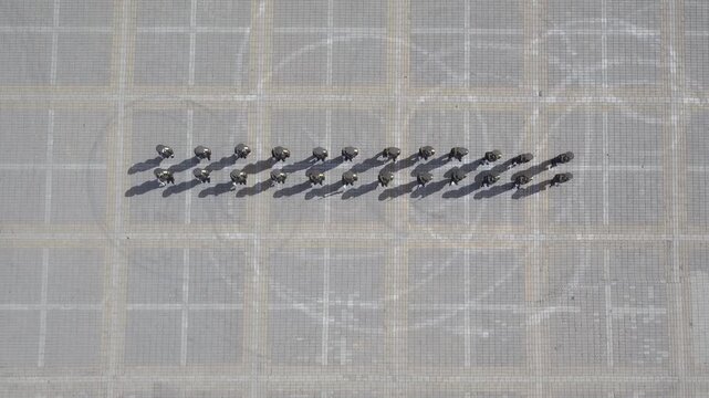Top down aerial view of military soldiers marching in a synchronized formation on a paved city square during a parade, creating intricate geometric patterns and casting long shadows.

