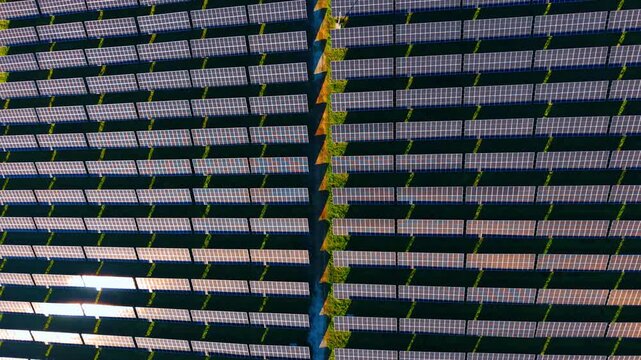 Aerial view of solar panel farm during sunset golden hour. High angle view of extensive photovoltaic installation separated by a dirt road under warm evening sunlight.
