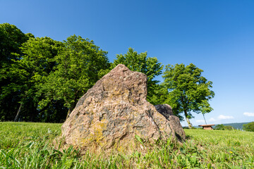 Large natural stone boulder on green grass field surrounded by lush trees under a clear blue sky © alaa