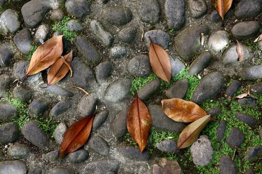 Feuilles mortes sur pav&eacute;s en pierre naturelle vue du dessus