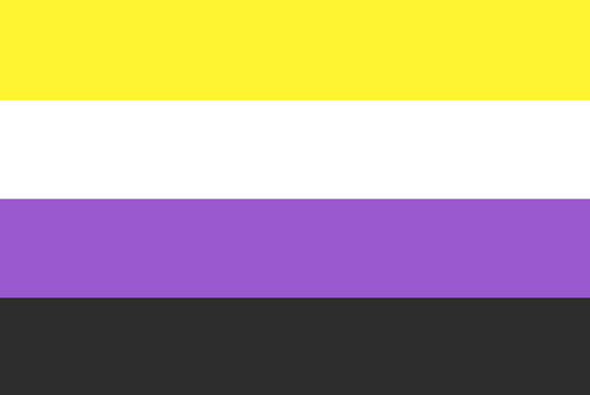 Non-Binary pride community flag, LGBT symbol.