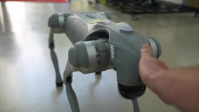 Robot Dog is interacting with human, FPV. Robo-dog Dances, Robotic pet Plays with Human, Future and robotics Concept.