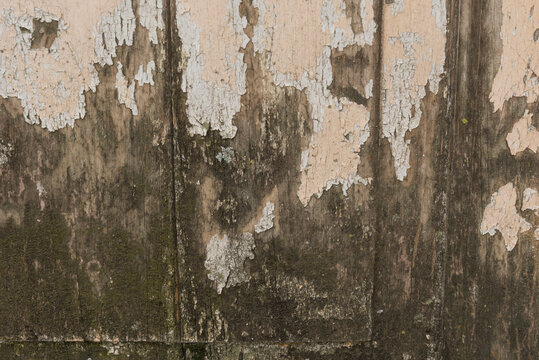 Weathered Wooden Wall with Peeling Paint Texture
