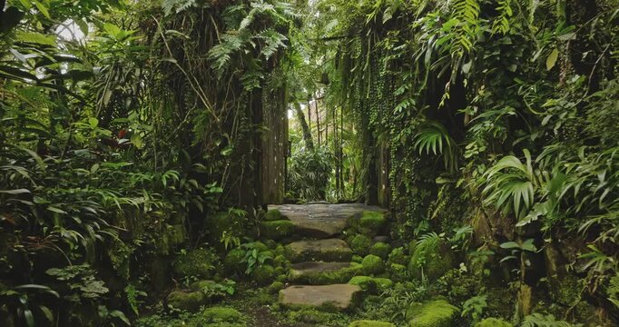 Stone garden path winding through abundant mossy stones and dense tropical vegetation, creating a serene and secluded natural escape within the vibrant jungle environment. Bali island, Indonesia