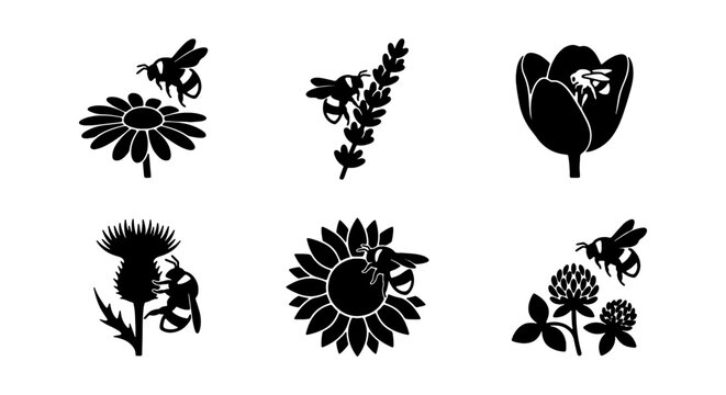 Bee and Flower Icons, Insect Vector Graphics, Nature Elements, Pollination Symbols, 6 Icons