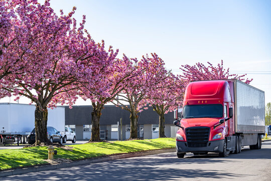 Red big rig semi truck with dry van semi trailer running on the road with spring blooming trees on the side