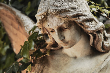 Obraz premium Closeup of mourning angel statue surrounded by ivy and soft natural light.