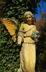 Obraz premium Beautiful angel statue with wings surrounded by ivy, symbolizing hope, protection and spiritual guidance.