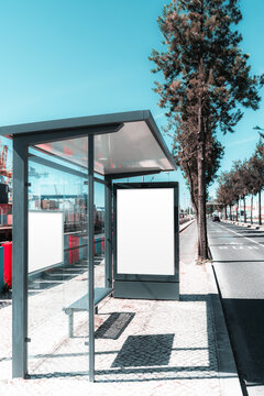 Blank vertical advertising display inside glass bus shelter on sunny urban sidewalk, with empty poster space for transit campaign, branding layout or street marketing preview