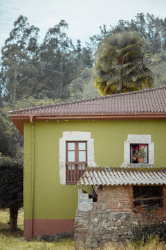 Green village home with clay tile roof, palm tree, flowered window and forest backdrop in Asturias, Spain, showing rustic architecture and quiet countryside life