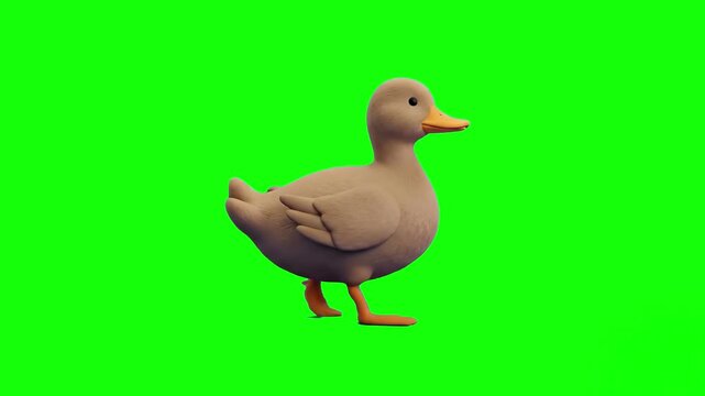 A stylized 3D cartoon duck waddling and walking forward in a continuous loop. This friendly waterfowl animal asset on a keyable green background is ideal for children's content, games, and animations.