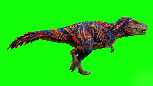 A 3D animated feathered raptor dinosaur featuring an intricate dark blue and orange camouflage pattern walking forward. This realistic creature asset on a green background is ideal for sci-fi, horror,