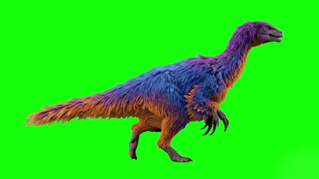 A side profile of a large, heavily feathered prehistoric theropod dinosaur walking at a steady pace. This 3D animated ancient creature asset is designed for chroma key compositing and historical docum