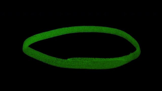 Clean oval marker highlight with alpha channel for circling text, spotlighting details, callouts, tutorials, and explainer graphics.