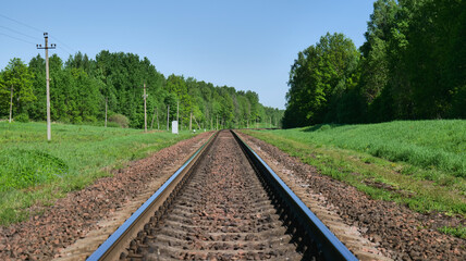 Obraz premium Empty railroad tracks through green forest landscape showing travel, transport and nature concept with perspective leading into distance