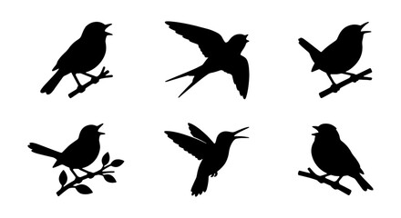 Fototapeta premium Bird Silhouettes Collection, Avian Icons Set, Nature Wildlife Vector Art