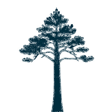 Minimalist black tree silhouette with intricate branches against white background vector illustration