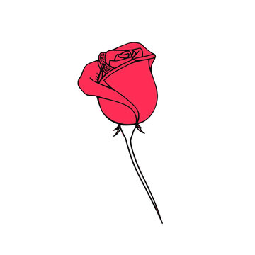 Hand-drawn red rose illustration with delicate petals and stem in minimalist vector style