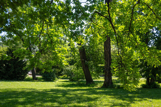 Borisova gradina (Boris Garden) in city of Sofia, Bulgaria