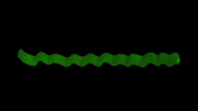 Ripple marker underline with alpha channel for expressive text emphasis, title accents, captions, learning edits, and explainer videos.