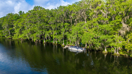 Obraz premium Tranquil Cypress Swamp with Docked Boat