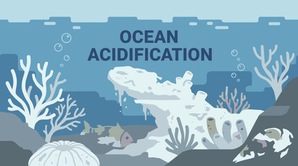 Ocean Acidification Effect on Bleached Coral Reef © Bima