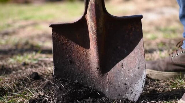Close up of a rusty shovel digging into the earth outdoors.