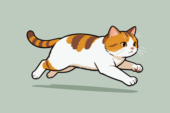 Cute Tabby And White Cat Running At Full Speed