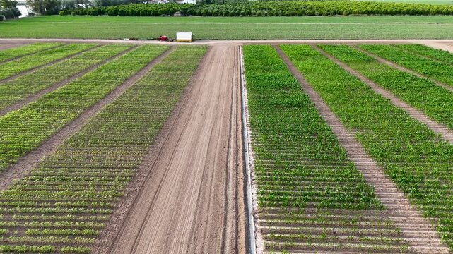 Drone aerial view of an agricultural research farm