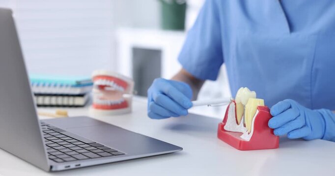 Dentist showing tooth model during online consultation by laptop at white table in clinic, closeup
