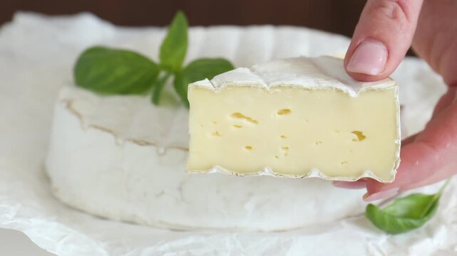 Woman showing piece of delicious brie cheese against dark background, closeup