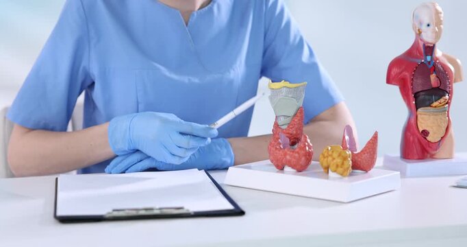 Endocrinologist demonstrating models of thyroid glands and writing on clipboard at white table in clinic, closeup