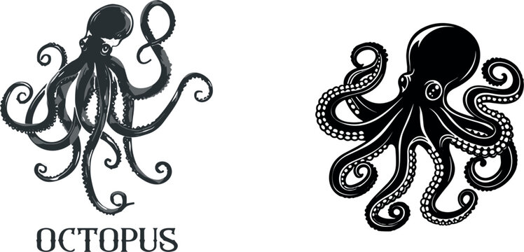 A vector set featuring a detailed hand drawn octopus sketch and a vintage black ink octopus illustration with tentacles isolated on a grey background.