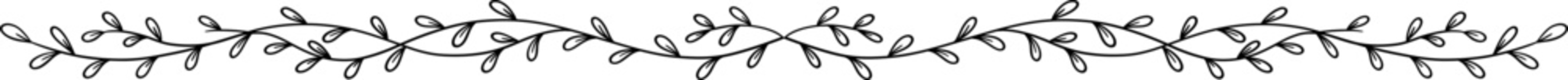 Hand Drawn Minimalist Botanical Leaf Vine Border Divider
