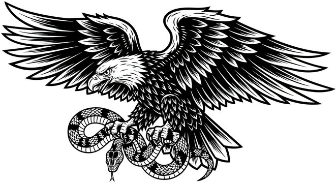 Bald eagle attacking snake graphic on white background.