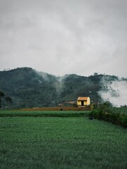 Fototapeta premium poombarai village / kodaikanal